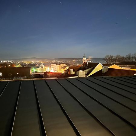 Luxus Loft Ueber Den Daechern Von Roding Exterior photo